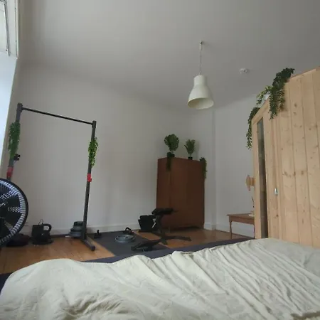 Cozy Historic Apartment, Sauna