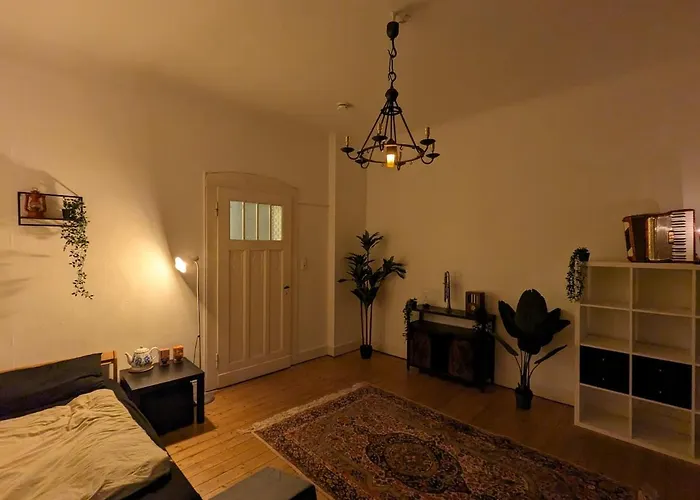 Cozy Historic Apartment, Sauna דירה וופרטל